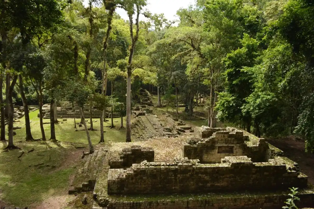 Ruinas residenciales cubiertas de bosque cerca de Copán, en las excursiones desde San Pedro Sula